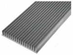Heatsink: extruded | grilled | L: 1000mm | W: 150mm | H: 25mm | aluminium