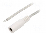 Cable | 2x0.5mm2 | wires,DC 5,5/2,1 socket | straight | transparent