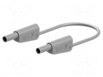 Test lead | 19A | banana plug 4mm,both sides | Urated: 1000V | grey