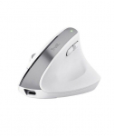 Computer mouse Trust  MOUSE USB OPTICAL WRL BAYO+/ERGONOMIC WHT 25399