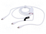 Cable | USB 2.0 | USB C plug,USB C plug x2 | nickel plated | 1.5m