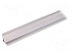 Profiles for LED modules | angular | natural | L: 2m | aluminium