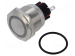 Switch: vandal resistant | Pos: 2 | SPDT | MP22 | 5A/250VAC | IP65 | blue