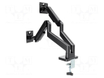 Gembird MA-DA2-06 Desk Mounted Adjustable Double Monitor Arm 17"-32" / black