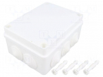 Enclosure: junction box | X: 110mm | Y: 150mm | Z: 70mm | IP65 | white
