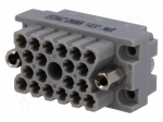 Connector: rectangular | socket | hermaphrodite | Mat: polycarbonate