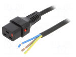 Cable | IEC C19 female,wires | 1m | with IEC LOCK locking | black