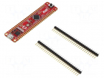 Dev.kit: Microchip AVR | AVR128DB | Curiosity Nano