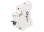 Circuit breaker | 500VDC | Inom: 10A | Poles: 1 | Charact: C | 6kA | IP20