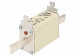 Fuse: fuse | 100A | 500VAC | gG | industrial | NH1C