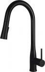 Kitchen faucet with pull-out spout