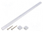 Holder | aluminium | natural | H: 30.5mm | L: 307mm | W: 15.5mm | handle