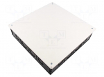 Enclosure: junction box | X: 250mm | Y: 250mm | Z: 65mm | polystyrene