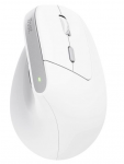 Trust Bayo II Wireless Mouse 2400 DPI