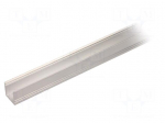 Profiles for LED modules | surface | natural | L: 2m | aluminium