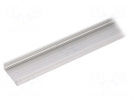 Profiles for LED modules | surface | natural | L: 1m | aluminium