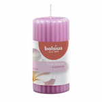 Bolsius True Scents Scented Candle 120x58mm Magnolia