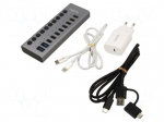 Hub USB | USB A socket x2,USB C socket x10 | USB 3.2 Gen 1 | grey