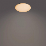 Philips Functional Izso Ceiling Light 40 W