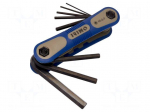 Wrench: hex key-set