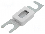 Fuse: fuse | 300A | 80VDC | automotive,strip fuse
