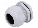Cable gland | PG36 | IP68 | Mat: polyamide | grey | UL94V-2 | 24.4mm