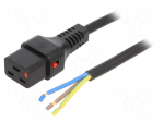Cable | IEC C19 female,wires | 2m | with IEC LOCK locking | black