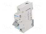 Circuit breaker | 230/400VAC | Inom: 25A | Poles: 1 | Charact: B | 6kA
