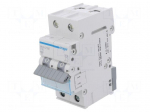 Circuit breaker | 230/400VAC | Inom: 10A | Poles: 2 | Charact: C | 6kA