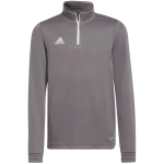 Sweatshirt for kids adidas Entrada 22 Training Top gray H57549 140cm