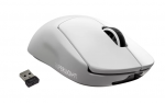 Logitech G Pro X Superlight Wireless mouse
