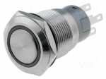 Switch: vandal resistant | Pos: 2 | SPDT | 0.5A/220VAC | 1A/24VDC | IP67