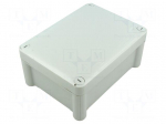 Enclosure: junction box | X: 130mm | Y: 175mm | Z: 81mm | wall mount