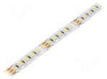 LED tape | white warm/cold white | LED/m: 60 | 10mm | white PCB | IP20