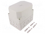 Enclosure: multipurpose | X: 130mm | Y: 180mm | Z: 165mm | TK PS | grey