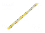 COB LED tape | white warm/cold white | LED/m: 612 | 10mm | white PCB