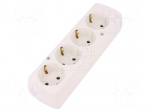 Connector: AC supply | female | splitter | 2P+PE | 250VAC | 16A | white