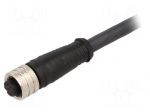 Cable: for sensors/automation | PIN: 8 | M12-M12 | 5m | plug | plug | male