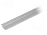 Profiles for LED modules | natural | L: 2m | GROOVE10 | aluminium