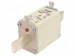 Fuse: fuse | 160A | 500VAC | gG | industrial | NH1C