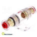 Kaitsmehoidja | kullaga kaetud