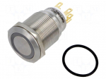 Switch: vandal resistant | Pos: 2 | SPDT | 3A/220VAC | 5A/24VDC | IP65
