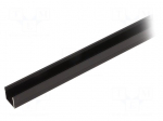 Profiles for LED modules | surface | black | L: 2m | aluminium