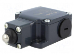 Limit switch | rubber seal,pin plunger &Oslash;10mm | NO + NC | 10A | IP67