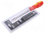 Screwdriver: universal-set | with flexible shaft