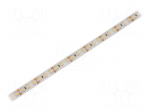 LED tape | white cold | 3528 | LED/m: 120 | 10mm | white PCB | IP65 | 12VDC