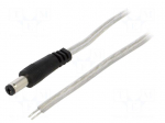 Cable | 2x0.5mm2 | wires,DC 5,5/2,1 plug | straight | transparent