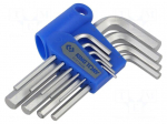 Wrench: hex key-set | 9pcs.