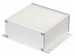 Enclosure: with panel | with fixing lugs | Filotec | X: 105mm | Z: 48mm