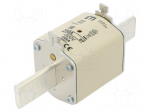 Fuse: fuse | 250A | 500VAC | gG | ceramic,industrial | NH2 | WT-NH